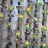 9. Међународни Фестивал Науке 2015.